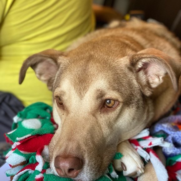 •• Meet your seller •• - Picture 3 of 4